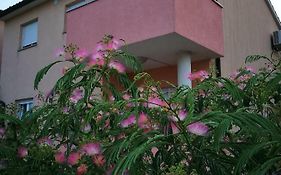 Apartment Iva 2